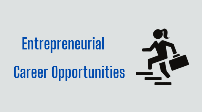 Entrepreneurial Career Opportunities Understanding