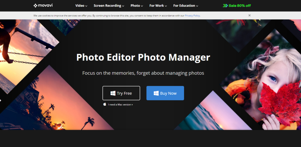 11 Best Photo Management Software of 2024 (Ultimate Guide)