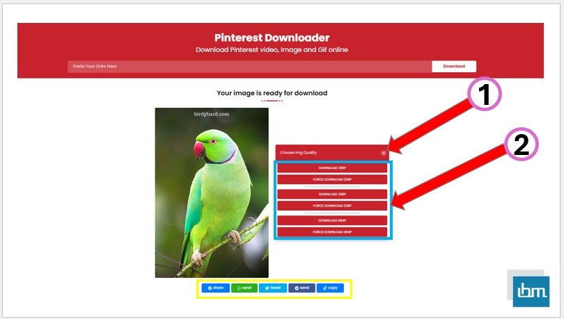 How to Download Pinterest Videos Using Online pinterestdownloader.com Video Quality