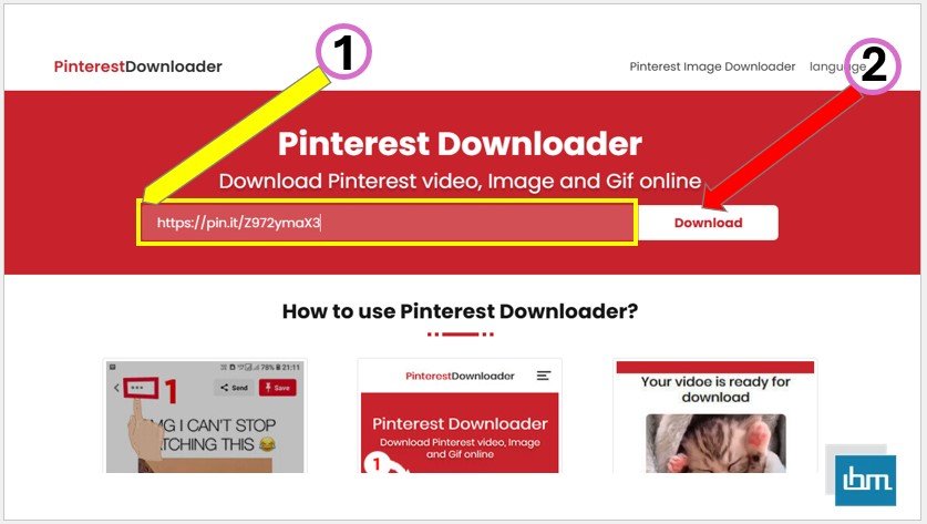 How to Download Pinterest Videos Using Online - pinterestdownloader